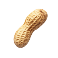 Single peanut isolated on a clear transparent background showcasing its natural texture and shape, peanut isolated on transparnt transparent background png