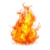 Realistic fire flame effect with vibrant colors on a transparent background for creative projects or design applications, Realistic fire flame effect transparent background. Fire flame transparent png