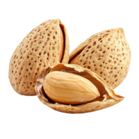 Almonds in shell displayed on a clean surface showcasing their natural texture and color, Almonds with shell isolated png