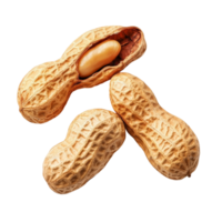 Different angles of raw peanuts in their shells against a transparent background focusing on natural texture and color, Difference angle of peanuts isolated on transparent background png