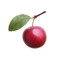 Fresh red cherry plum with a green leaf isolated on a bright transparent background highlighting its vibrant color, Red cherry plum isolated on transparent background png