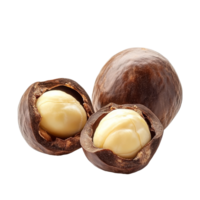 Fresh macadamia nuts isolated on a transparent background showcasing their unique texture and color, macadamia isolated on transparent background png