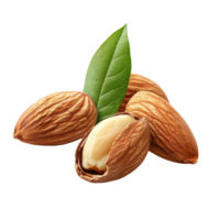 Almonds with green leaf isolated on a transparent background, highlighting their natural beauty, almonds with leaf isolated on transparent background png