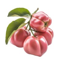 Fresh rose apples, also known as chomphu, displayed on a clean transparent background, showcasing their vibrant colors, Rose apples or chomphu on transparent background png