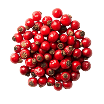 Fresh red peppercorn cluster isolated on a clean transparent background for culinary use and spice enhancement, Red peppercorn isolated on transparent background png