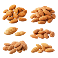 Different angles of raw almonds isolated on a transparent background showcasing their natural shape and texture, Different angle of raw almonds isolated on transparent background png