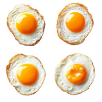 Four perfectly cooked fried eggs on a transparent background showcasing vibrant yolks and crispy edges, Different angle of fried eggs isolated png