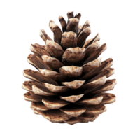 A detailed view of a large pine cone isolated against a clean transparent background showcasing natural textures and colors, Pine cone isolated on transparent background png