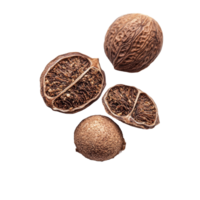 Dried nutmeg seeds with ground nutmeg scattered on a transparent background, showcasing their unique textures and shapes, dry nutmeg on transparent background png