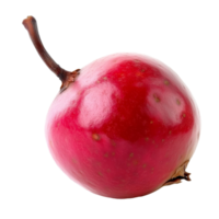 Ripe rose apple isolated on a clean transparent background showcasing its vibrant color and smooth texture, ripe roseapple isolated on transparent background png