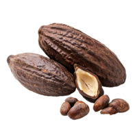 Cocoa pods and beans displayed on a transparent background, showcasing the rich texture and natural beauty of this important agricultural product, Cocoa isolated on transparent background png