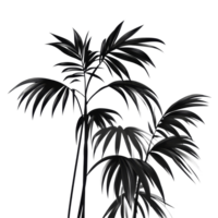 Black palm leaves contrast beautifully with a bright transparent background, creating a striking visual, black leaves of palm tree on transparent backgroundfile png