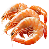 Freshly boiled shrimp arranged on a transparent background for a vibrant culinary display, Boiled shrimp isolated on transparent background png