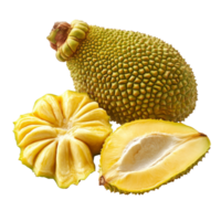 Fresh jackfruit cut in half revealing vibrant yellow sections on a transparent background, Jackfruit on transparent background png