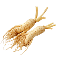 Fresh ginseng roots displayed on a transparent background, showcasing their distinctive shape and texture in detail, ginseng isolated on transparent background png