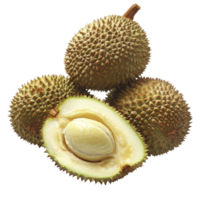 Fresh durians on a transparent background showcasing their unique appearance and texture, Durian on transparent backgroundfile png