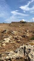 Deserted area with dry plants and rocks on the ground, empty building in the distance video