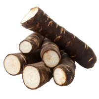 Fresh cassava root tubers isolated on a transparent background, showcasing their natural texture and color for culinary use or agricultural study, Cassava isolated on transparent background png