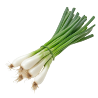 A bunch of fresh green onions is displayed with crisp green tops and firm transparent bulbs, Green onion isolated on transparent background png