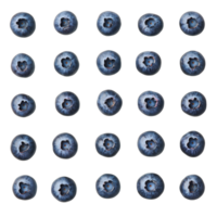 Fresh blueberries arranged neatly on a transparent background showcasing their vibrant color and texture, Blueberries on transparent background png