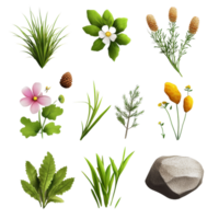 Exploring the beauty of diverse nature items isolated against a transparent background, Beautiful nature items isolated on transparent background or transparent backgroud png