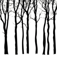 Silhouettes of bare trees against a pale backdrop at dusk, creating a stark and tranquil landscape, trees silhouettes png