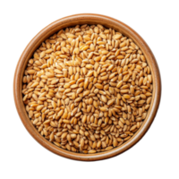 A bowl of wheat germ on a transparent background showcasing its nutritious and wholesome appearance, Wheat germ in a bowl on transparent background png