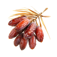 Fresh red raw date palm cluster isolated on a transparent background showcasing its natural beauty and texture, red raw date palm isolated on transparent background png