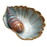 Enamel venus shell elegantly placed on a decorative plate against a clean transparent background, enamel venus shell in plate on transparent background png