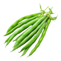 Green bean seeds displayed on a clean transparent background highlighting their vibrant color and natural shape, Green beans seeds isolated on transparent background png