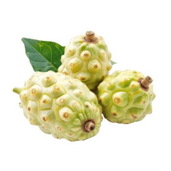 noni Fruta desplegado en un transparente antecedentes exhibiendo sus único textura y distinto forma, noni Fruta en transparente antecedentes antecedentes png