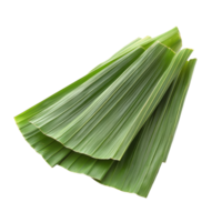 Freshly sliced pandan leaves arranged separately on a clean transparent background for culinary use and decoration, slice pandan leaf isolated on transparent background png