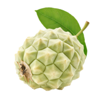 Fresh custard apple with leaf isolated on a clean transparent background highlighting its unique texture and color, Fresh custard apple with leaf isolated on transparent backgroundfile png