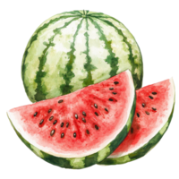 Watercolor depiction of a ripe watermelon with slices on a plain transparent background for vibrant contrast, watermelon fruit on a transparent background png
