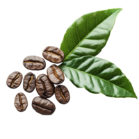 Dark roasted coffee beans with fresh leaves arranged on a bright transparent background for an elegant coffeethemed display, dark roasted coffee and ripe coffee with leaf on transparent background png