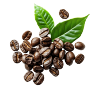 Fresh coffee beans with green leaves arranged on a clean transparent background ready for brewing and enjoyment, fresh coffee beans with leaf on transparent background png