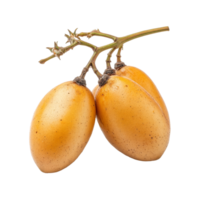 Long Gong fruit Lansium parasiticum displayed on a transparent background showcasing its unique appearance and color, Long Gong fruit Lansium parasiticum on transparent background png