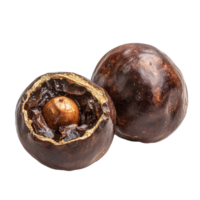 Soap nut on a transparent background showcasing its unique texture and natural appeal for ecofriendly uses, Soap nut isolated on transparent background png