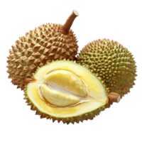 Fresh durian fruit split open on a transparent background showcasing its creamy flesh and spiky exterior, Durian on transparent backgroundfile png