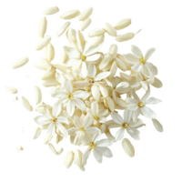 Top view of Thai jasmine rice seeds on a transparent background highlighting their unique shape and color, paddy rice seed top view of thai jasmine on transparent background png