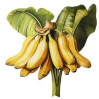 A vibrant bunch of ripe bananas with lush green leaves on a clean transparent background, banana bunch on transparent backgroundfile png
