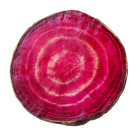 Sliced beetroot showcasing vibrant color patterns on a clean transparent background, slice beetroot on transparent background png