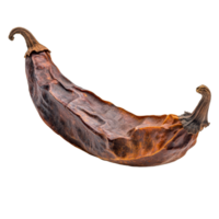 Dried puya pepper isolated on a transparent background showcasing its unique texture and color detail, dried puya pepper isolated on transparent background png
