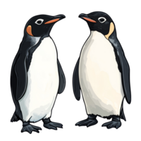 Two cartoon penguins illustrated on a transparent background, showcasing their distinctive features and postures, penguins illustrationisolated on a transparent background png