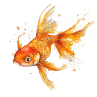 A vibrant goldfish gracefully swimming on a clean transparent background with splashes of color, gold fish on transparent background png