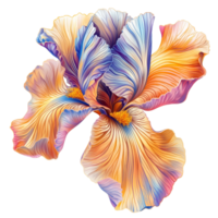 Vibrant iris flower with intricate petals displayed against a clean transparent background, vibrant iris in style, isolated on a transparent background for design layouts png