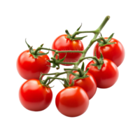 Fresh cherry tomatoes on a vine displayed against a bright transparent background for food presentation or culinary use, Fresh cherry tomatoes isolated on transparent background png