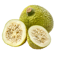 Fresh breadfruit isolated with cut halves showcasing texture on transparent background in natural light, Breadfruit isolated on transparent background png