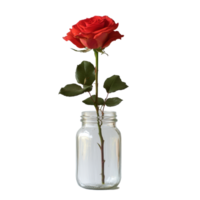 Elegant red rose displayed in a clear glass jar on a simple transparent background, capturing natural beauty and simplicity, Rose in a glass jar on transparent background. Rose flower glass jar png