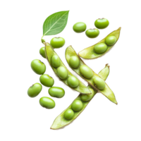 Fresh green soybean seeds and pods isolated against a clean transparent background for culinary and agricultural use, Green soybeans seeds isolated on transparent background png